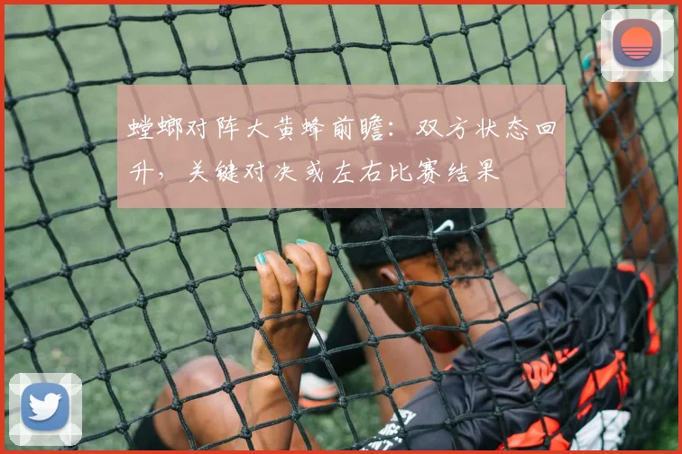 螳螂对阵大黄蜂前瞻：双方状态回升，关键对决或左右比赛结果