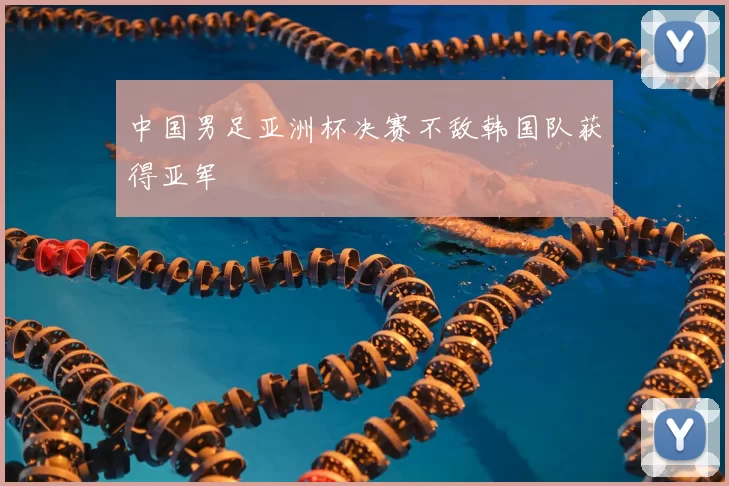 中国男足亚洲杯决赛不敌韩国队获得亚军
