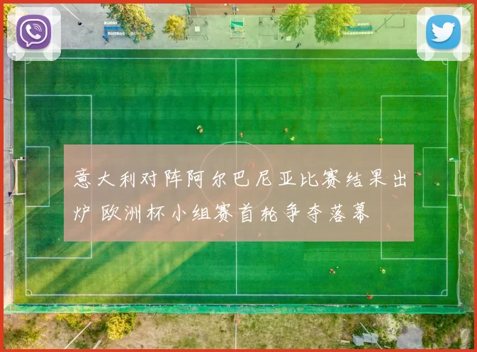 意大利对阵阿尔巴尼亚比赛结果出炉 欧洲杯小组赛首轮争夺落幕