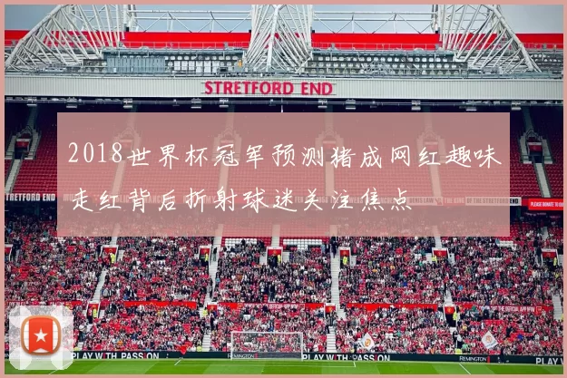 2018世界杯冠军预测猪成网红趣味走红背后折射球迷关注焦点
