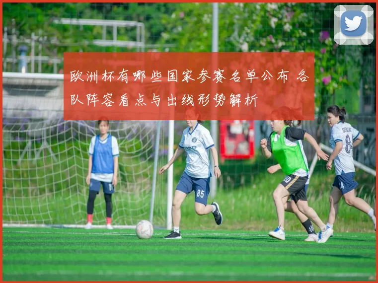欧洲杯有哪些国家参赛名单公布 各队阵容看点与出线形势解析